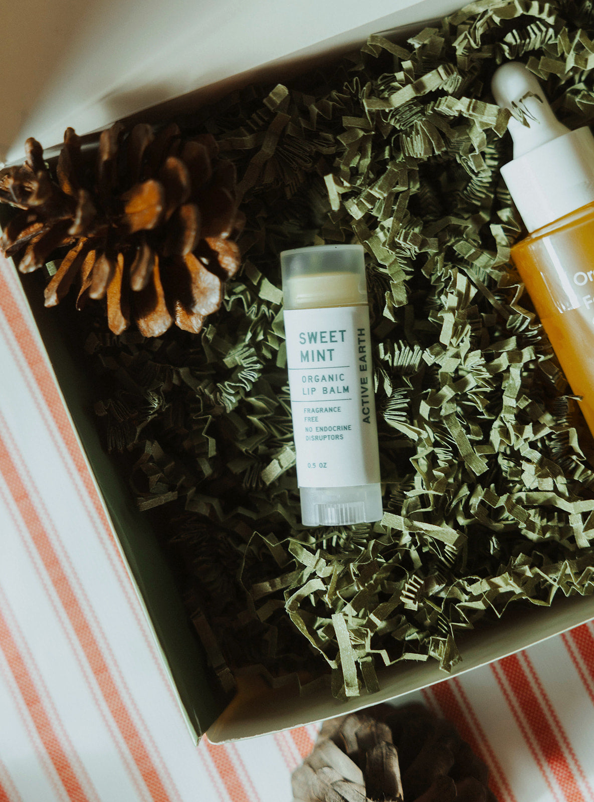 New Active Earth Organic Fresh Mint Lip Balm (back in stock)